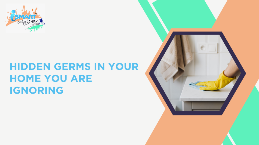 blog that explains the hidden germs in your home and cleaning remedies