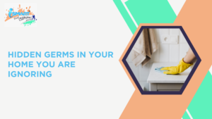 blog that explains the hidden germs in your home and cleaning remedies